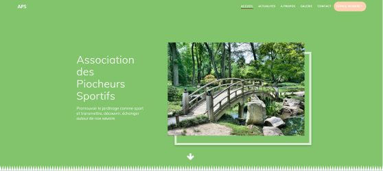 capture d'écran création de site associatif - fait par Delphine MARIANI