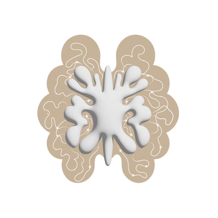noix 2 représentant Kerganaweb - graphisme Audrey Mariani